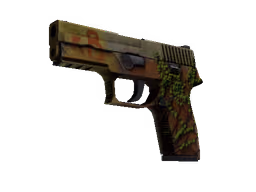 P250 | Inferno (Battle-Scarred)